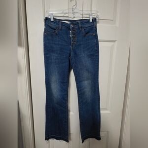Pilcro and the Letterpress Flare High Rise Jeans By Anthropologie Size 26